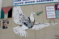 a mural of a dove on the side of a building