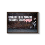 graffiti on a brick wall that reads graffiti removal hotline 8000