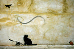 a painting of a cat and a bird on a wall