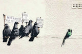 a group of birds sitting on top of a white wall