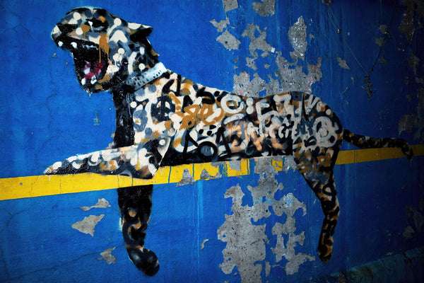 a painting of a leopard on a blue wall