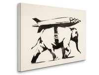 a black and white picture of a plane on a white background